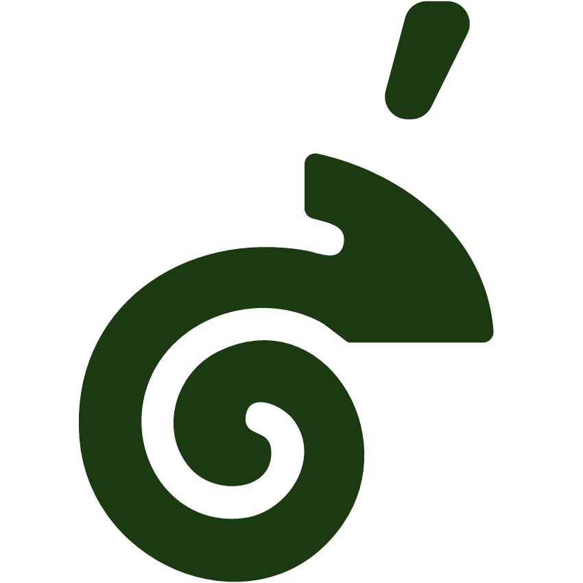 camaleon.pages.dev favicon